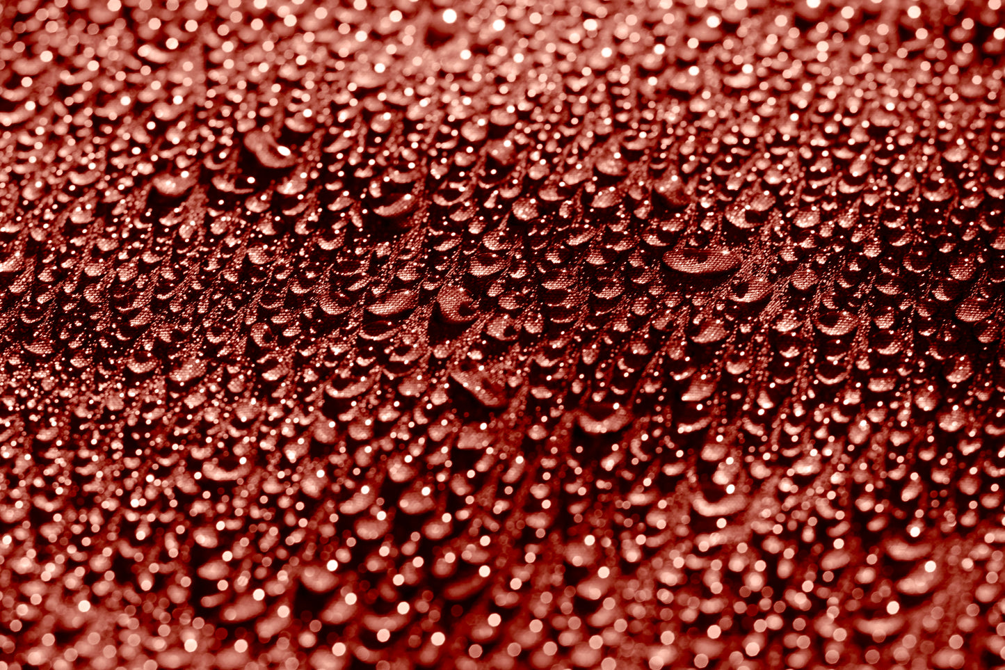 Burgundy (red) SIMPLE bag